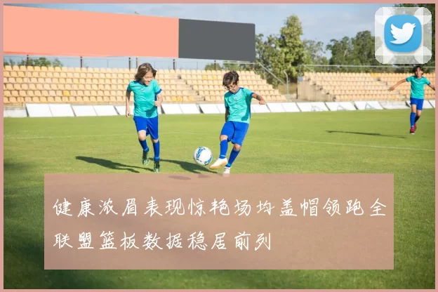 健康浓眉表现惊艳场均盖帽领跑全联盟篮板数据稳居前列