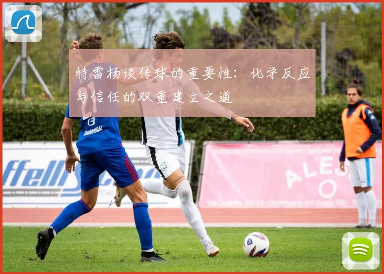 特雷杨谈传球的重要性：化学反应与信任的双重建立之道
