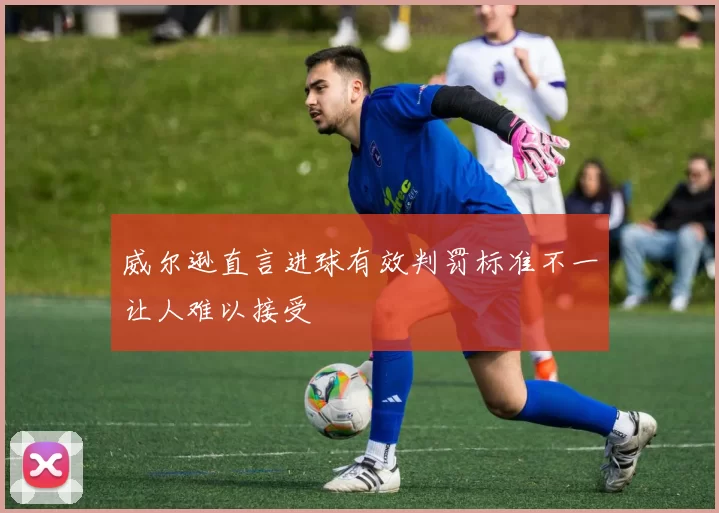 威尔逊直言进球有效判罚标准不一让人难以接受